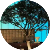 e5548cc1d2de903617f93f032418660e-sz_1081281 (1).png e5548cc1d2de903617f93f032418660e-sz_1081281 (1).png